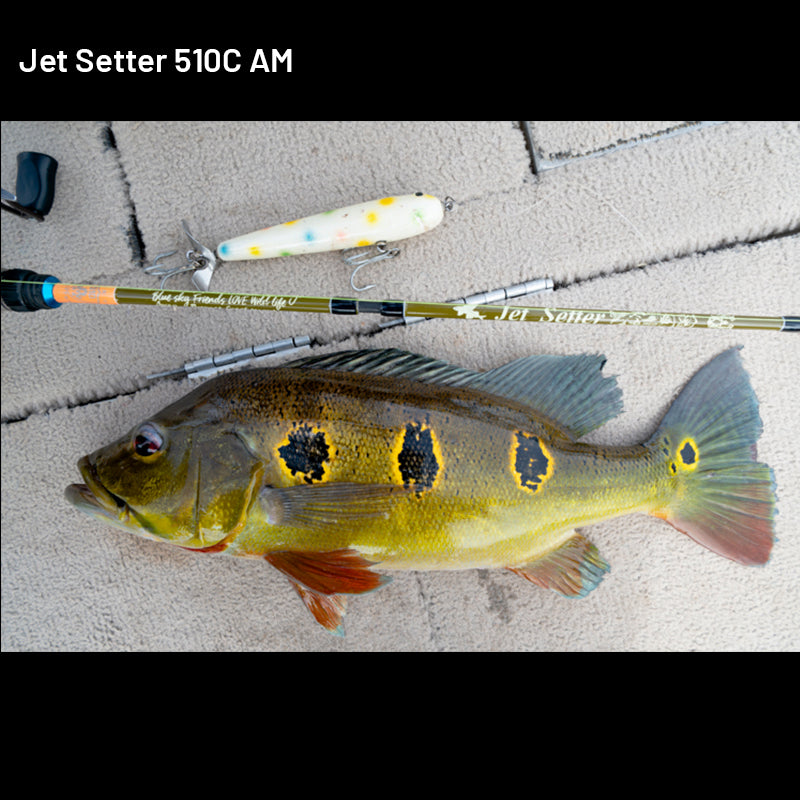 Jet Slow Jet Setter Jet Setter 510C AM (3 pieces, Casting) fishing rod — photo 2