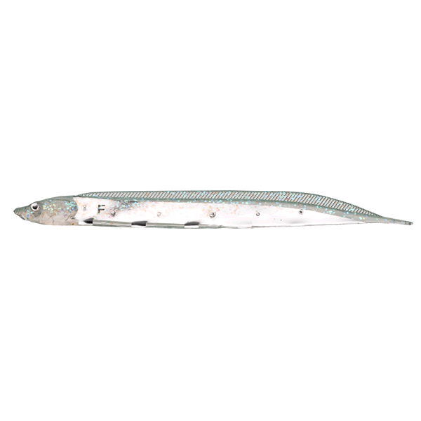 Fish Arrow FLASH-J SHIRAUO 3" Feco (5 pcs/pack) #F38 F GHOST WAKASAGI