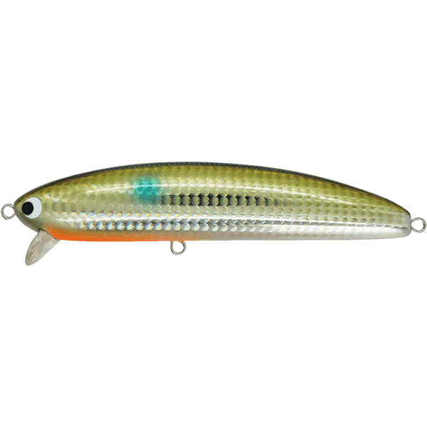 Pozi Drive Garage SPANK WALKER 133F 133mm : 40g Floating #07 NUMA BORA saltwater fishing lure