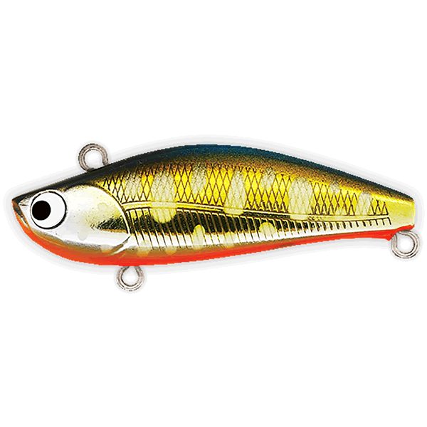 Pozi Drive Garage HOPPIN'JHON 40S TYPE1 40mm : 2.5g Sinking #02 GG YAMAME saltwater fishing lure