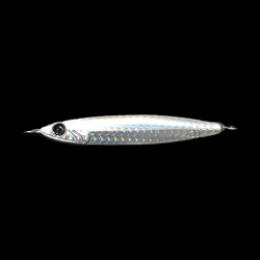 Zeake R_SARDINE 30g 30g 001 HAGARE SILVER saltwater fishing lure