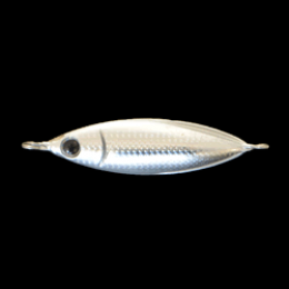 Zeake S_BIT 30g 30g 001 SILVER