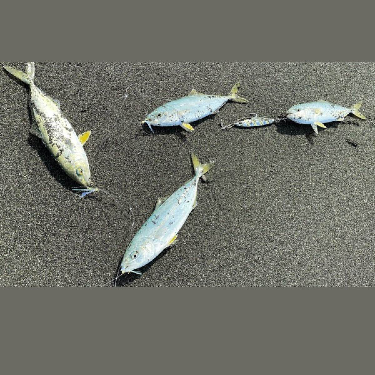 Zeake JIGGING SABIKI SET #3 : S (2 sets/pack) AURORA TINSEL - Britannic Trade