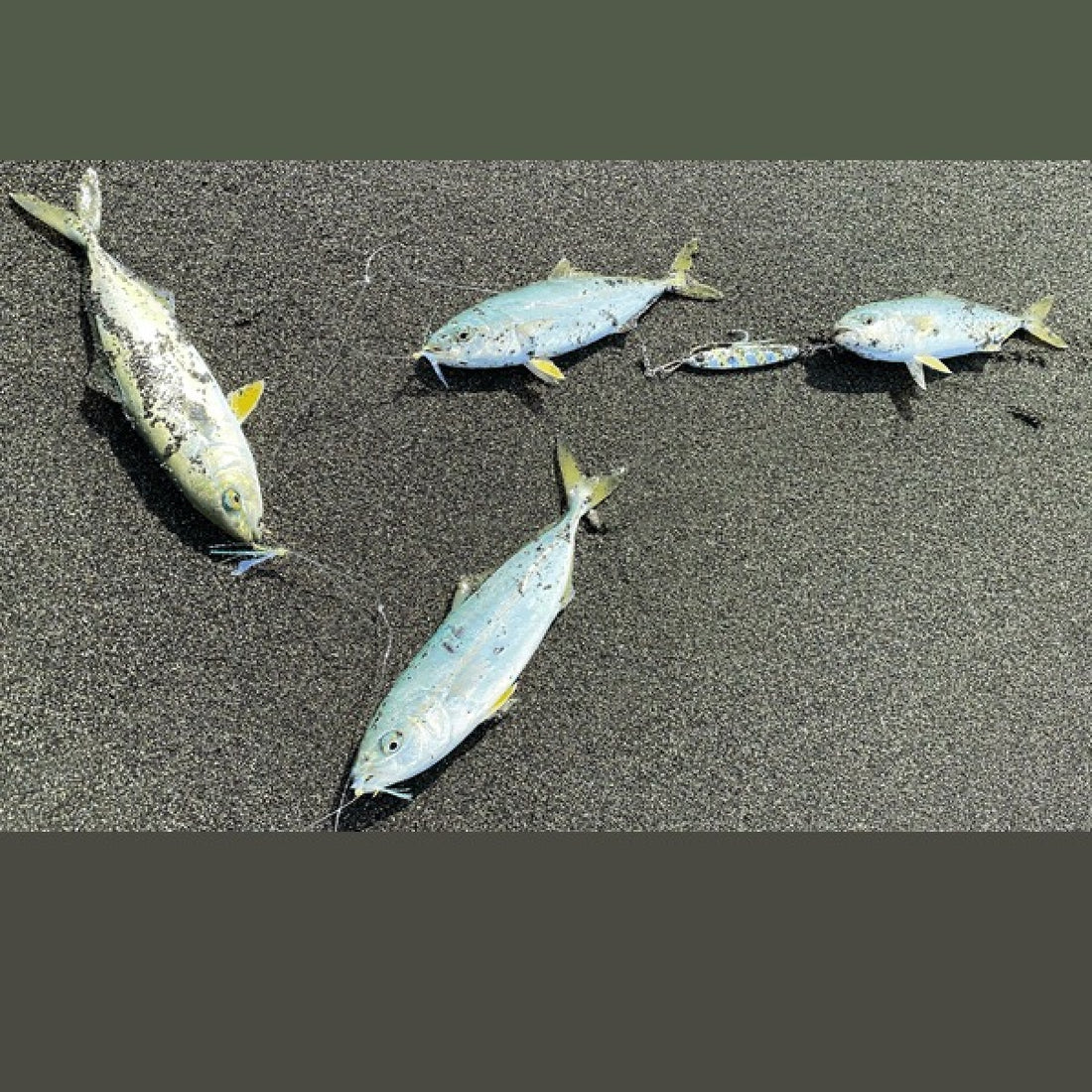 Zeake JIGGING SABIKI SET #4 : M (2 sets/pack) AURORA TINSEL fishing terminal tackle — photo 2