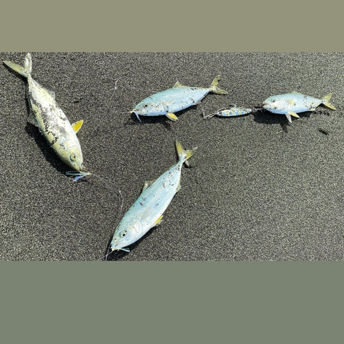 Zeake JIGGING SABIKI SET #6 : L (2 sets/pack) AURORA TINSEL fishing terminal tackle — photo 2
