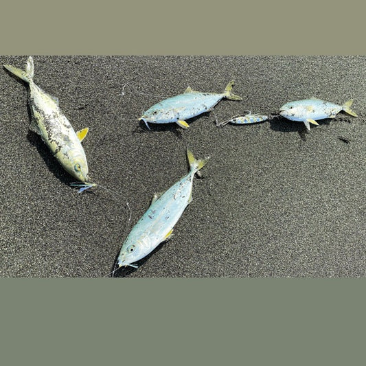 Zeake JIGGING SABIKI SET #6 : L (2 sets/pack) AURORA TINSEL fishing terminal tackle — photo 2