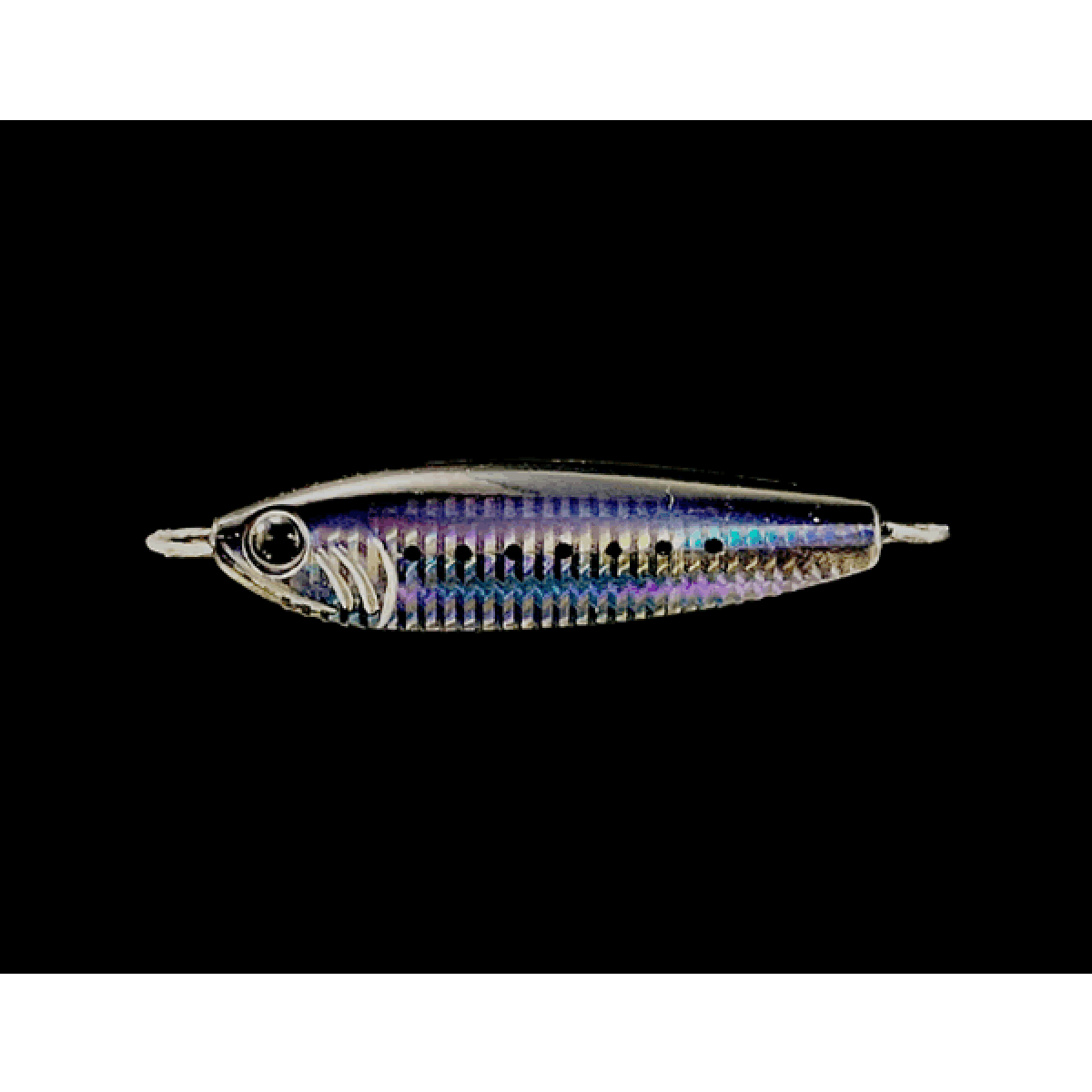 Zeake F_SARDINE 40g 40g 57mm MAIWASHI - Britannic Trade
