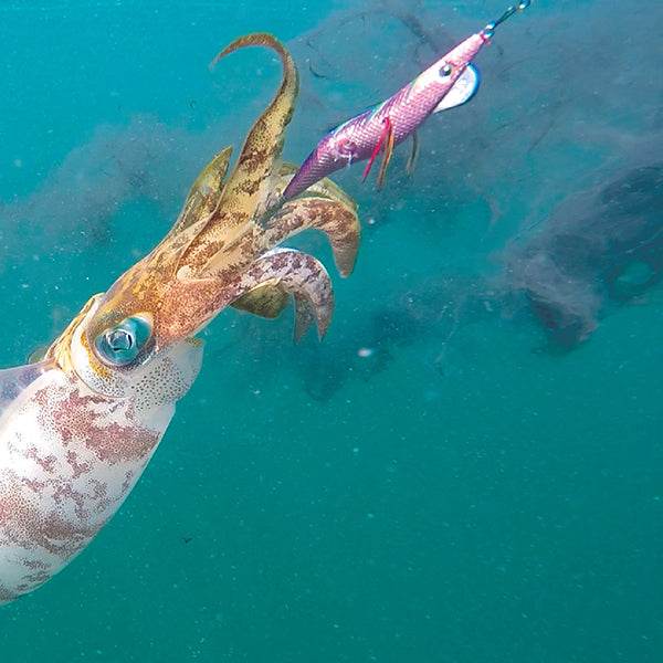 BREADEN EGIMARU NEO OITA 4.0F 120mm : 22g FREE FALL MAGUMA R/SUGI PINK - Britannic Trade