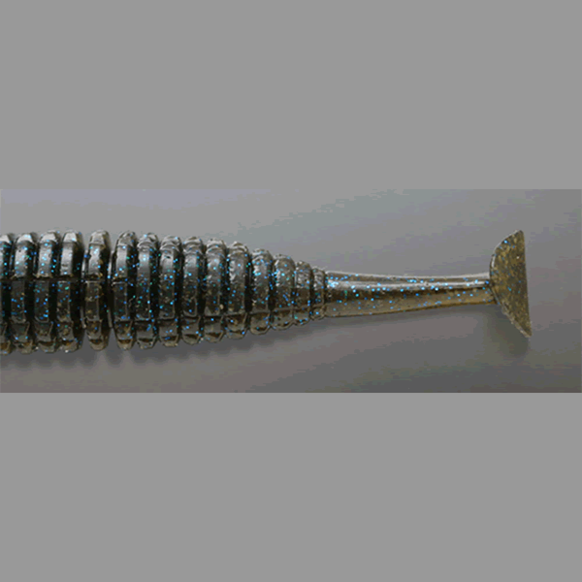 issei CARAMEL SHAD 3.5" (8 pcs/pack) #31 GURIPAN BLUE FLAKE