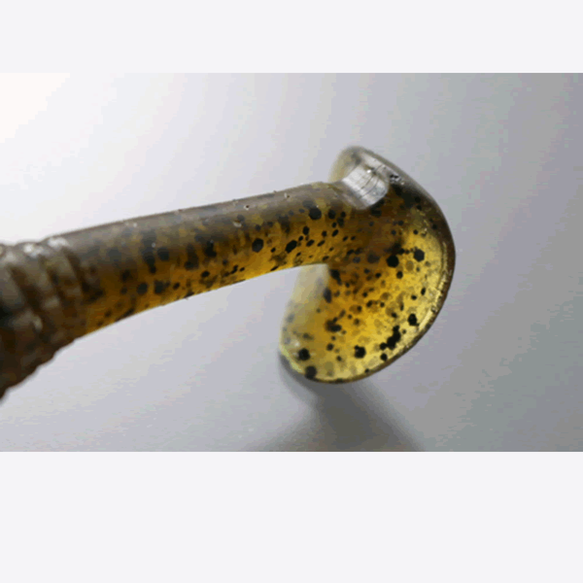 issei CARAMEL SHAD 3.5" (8 pcs/pack) #58 NATURAL CHART(NS)