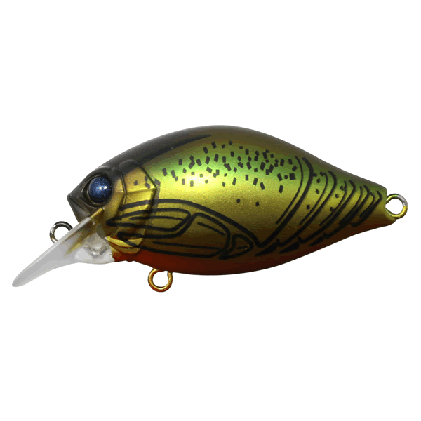 issei G.C. SHALLOW CRANK 40SR CHI-LA 40mm : 5g #27 UCHIDA ZARIGANI freshwater fishing lure