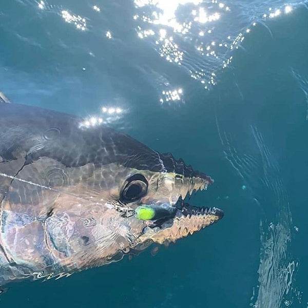 LITTLE JACK FORMA HEADS 105mm : 52g Sinking #08 KAGEROU - Britannic Trade