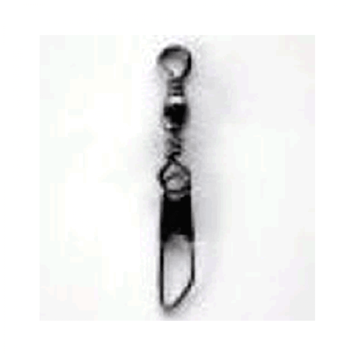 NT SWIVEL BRASS BARREL SWIVEL WITH SAFETY SNAP (Value Pack) #1 (40 pcs/pack) BLACK - Britannic Trade