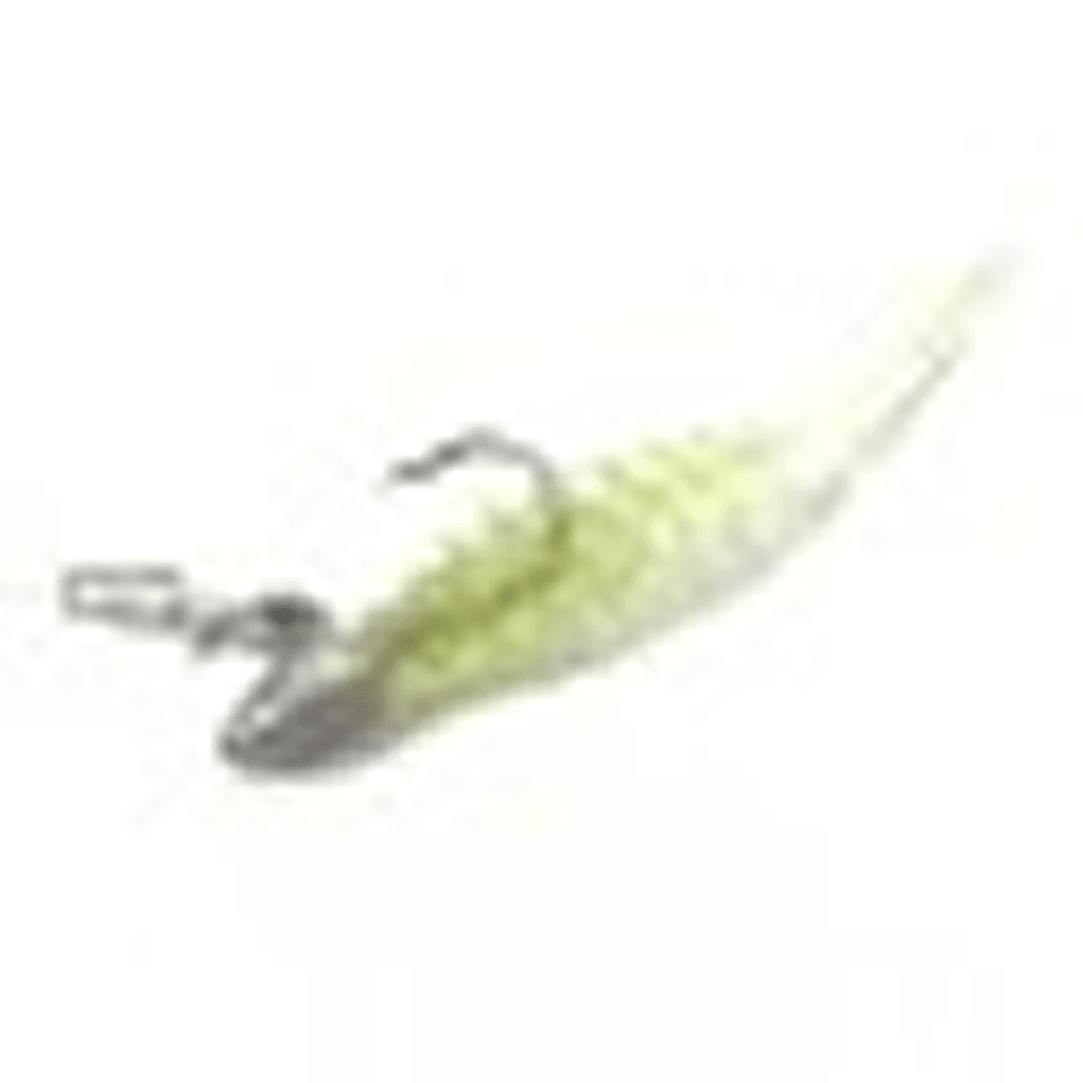 MAGBITE HANG (6 pcs / Pack) - Britannic Trade