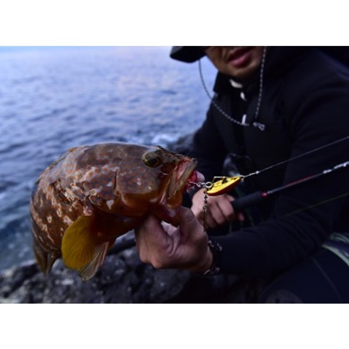 MAGBITE UPPER CUT OFFSET Feb-00 (8 pcs / Pack) BLACK