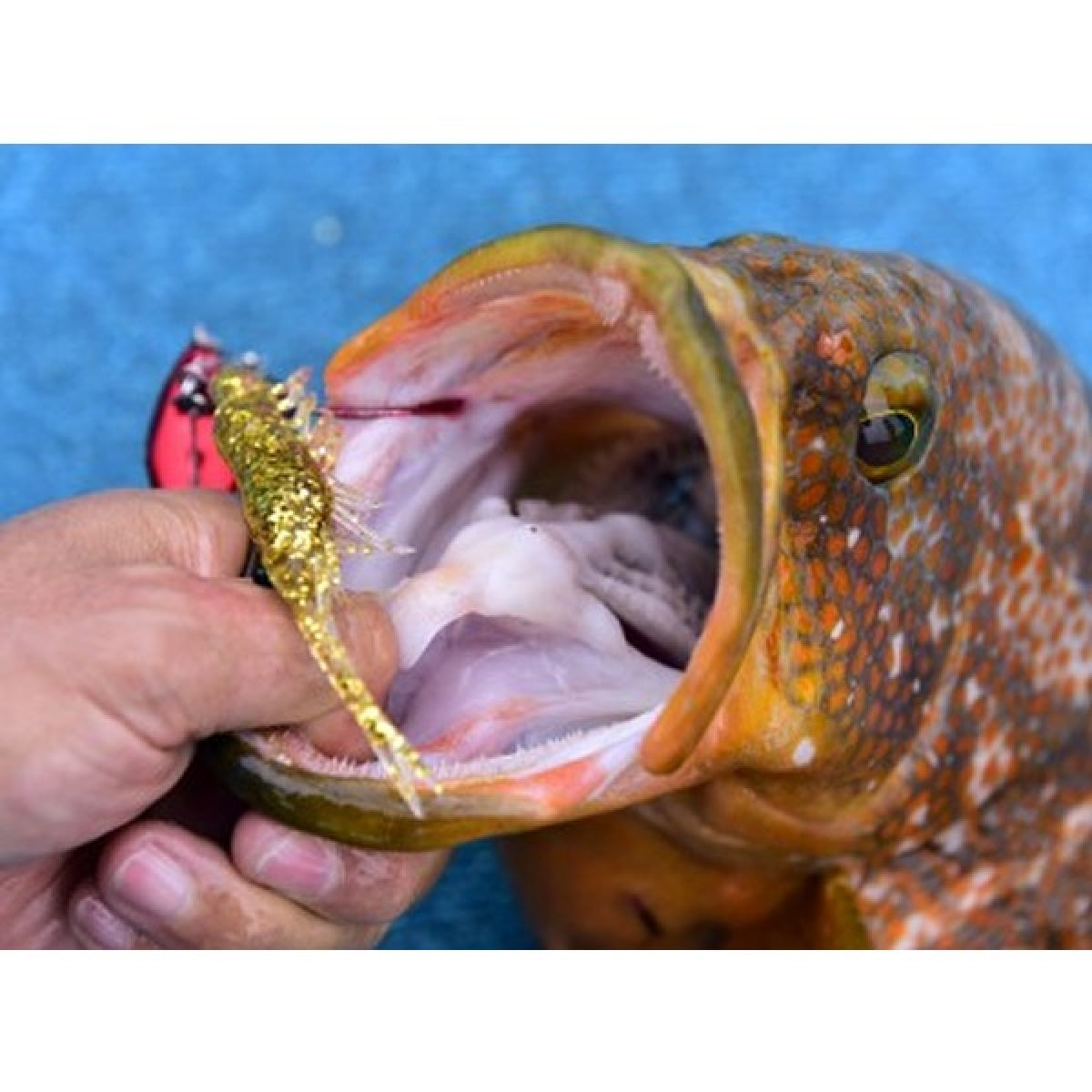 MAGBITE UPPER CUT OFFSET Feb-00 (8 pcs / Pack) BLACK