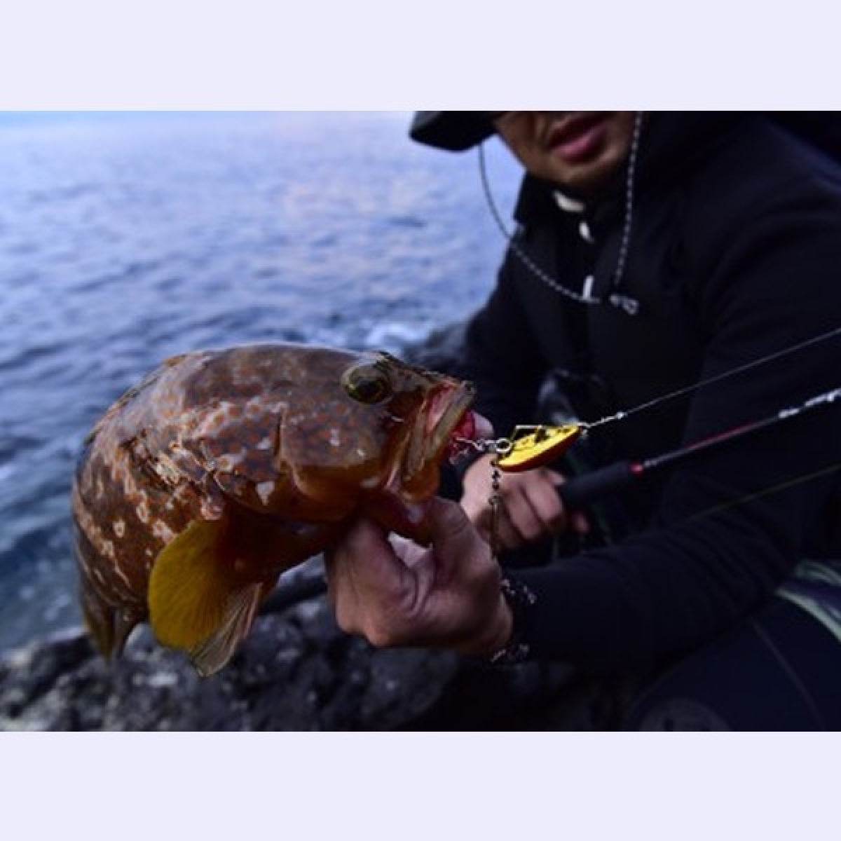 MAGBITE UPPER CUT OFFSET Jan-00 (7pcs / Pack) STEALTH RED - Britannic Trade