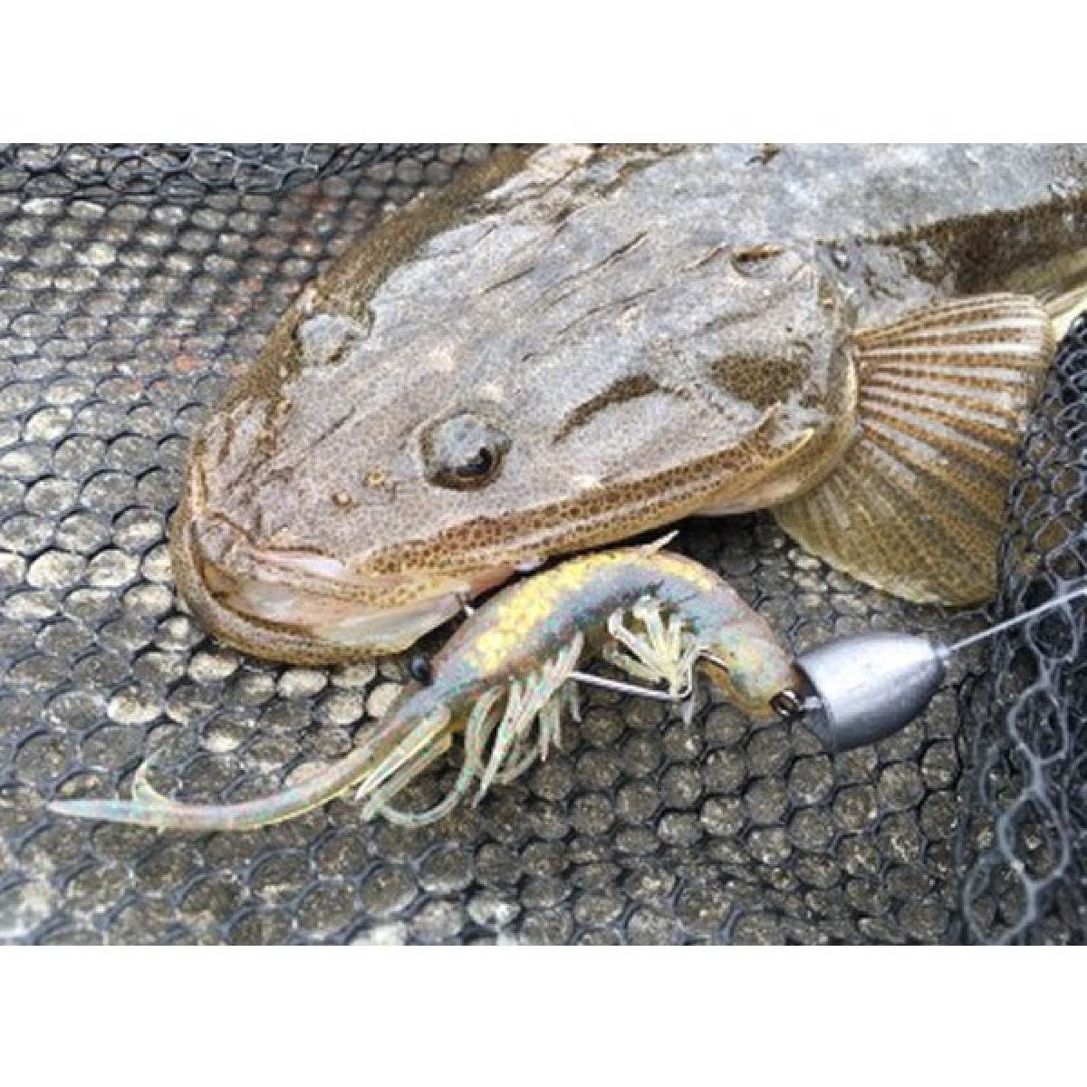 MAGBITE S.T SINKER 10g (3pcs / Pack) - Britannic Trade