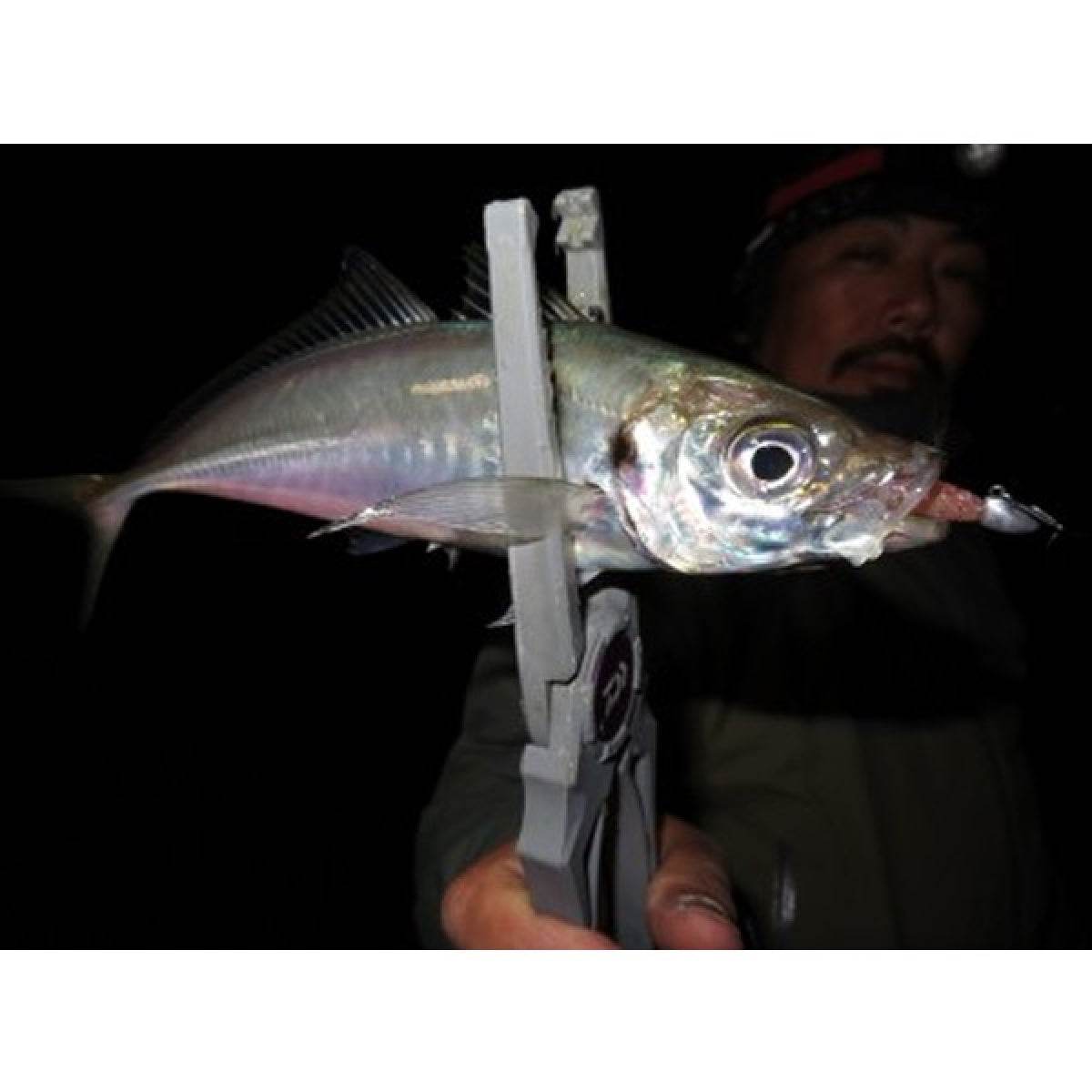 MAGBITE AJI KILLER JIGHEAD #10 - 1.3g (5pcs / Pack) - Britannic Trade