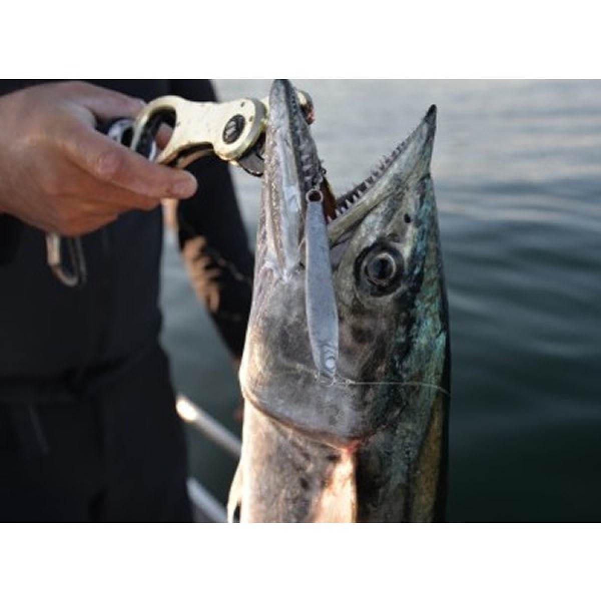 MAGBITE BLADE ASSIST WILLOW M (2pcs / Pack) SILVER - Britannic Trade