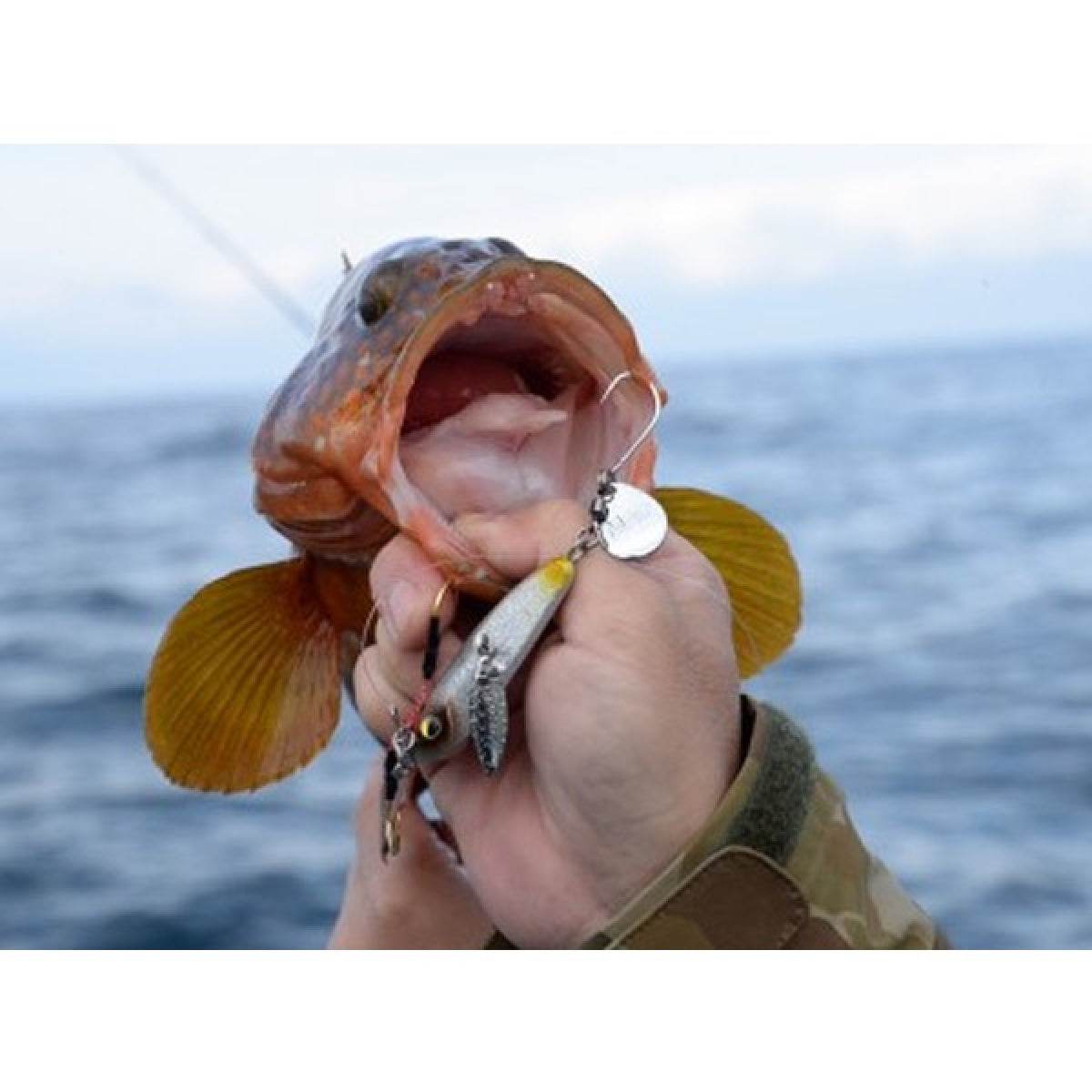 MAGBITE BLADE ASSIST WILLOW M (2pcs / Pack) SILVER - Britannic Trade