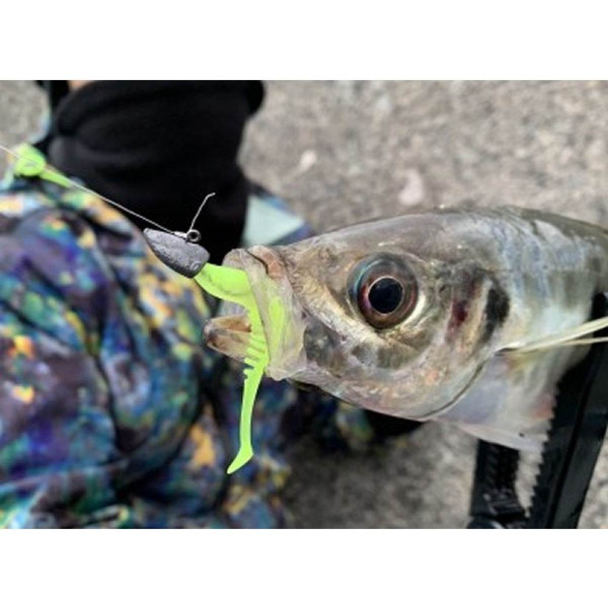 MAGBITE KURUKURU BLADING JIGHEAD #8 - 3.0g (2pcs / Pack) - Britannic Trade