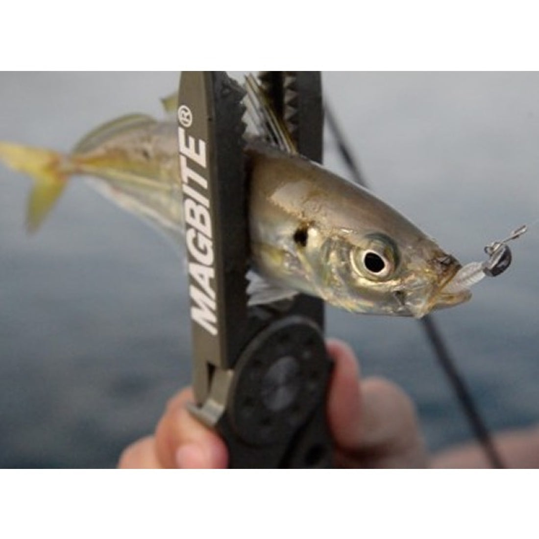 MAGBITE KOAKUMA JIGHEAD ValuePack 1.3g (20pcs / Pack)