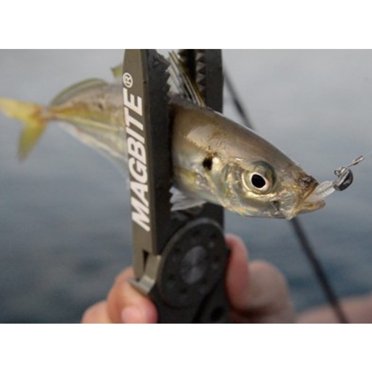 MAGBITE KOAKUMA JIGHEAD ValuePack 1.5g (20pcs / Pack)