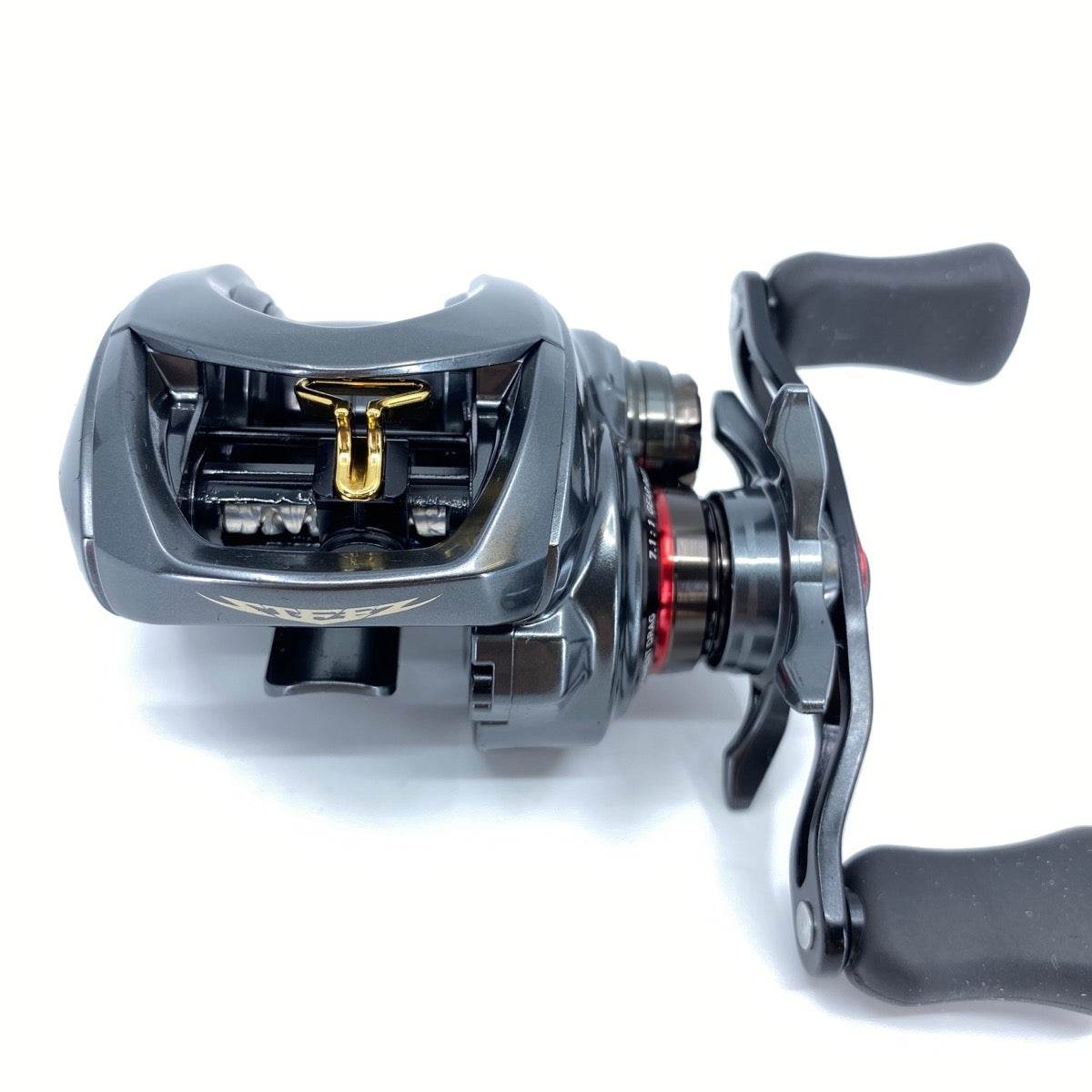 DAIWA 20 STEEZ CT SV TW 700SHL - Britannic Trade