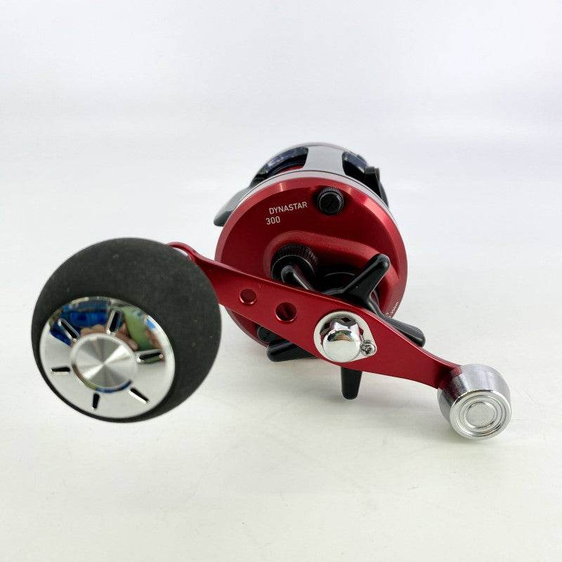DAIWA 17 DYNASTAR 300 - Britannic Trade
