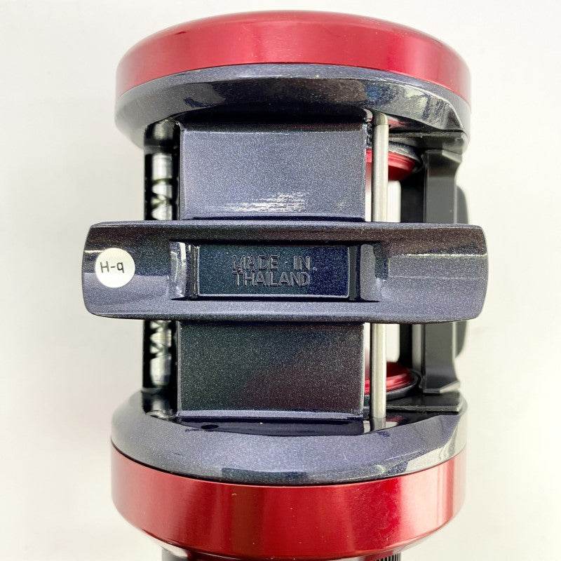 DAIWA 17 DYNASTAR 300 - Britannic Trade