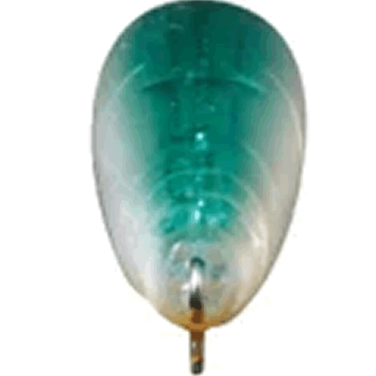 DAIWA SHORELINE SHINER Z SETUPPER 125S-DR 125mm : 26g Slow Sinking HP IWASHI - Britannic Trade