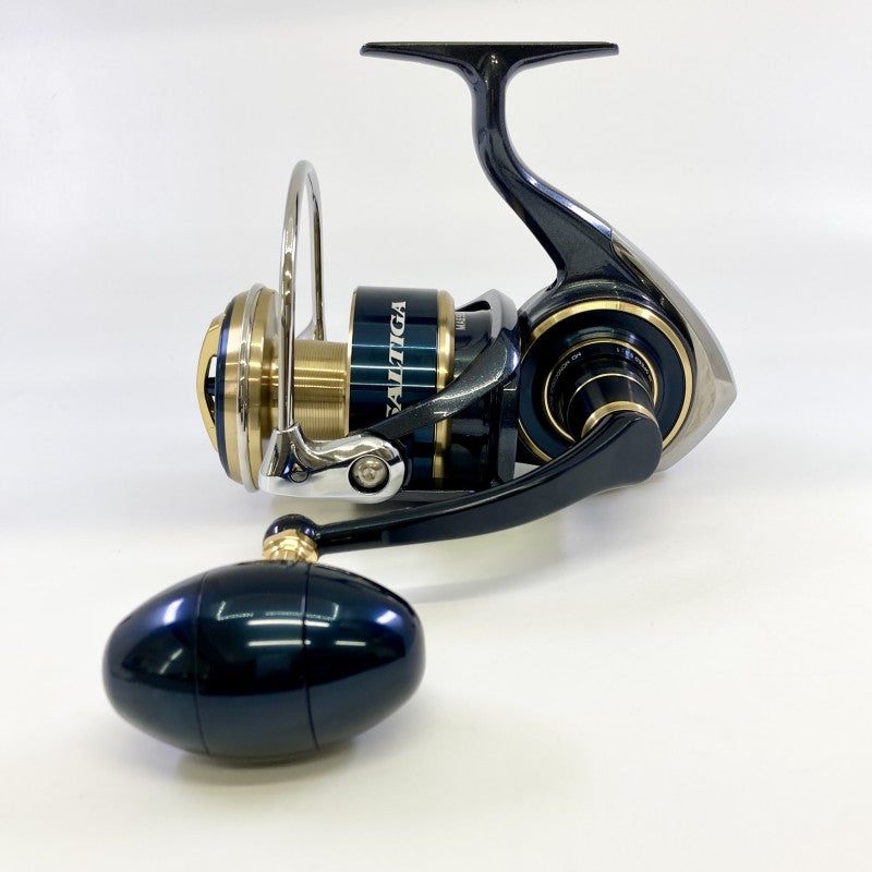 DAIWA 20 SALTIGA 8000-H