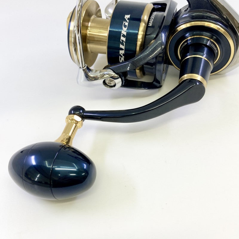 DAIWA 20 SALTIGA 8000-H