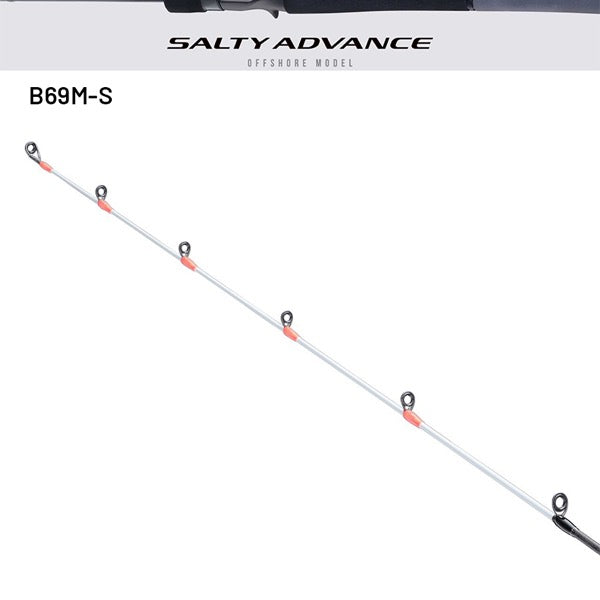 SHIMANO 25 SALTY ADVANCE TAIRABA B69M-S Casting