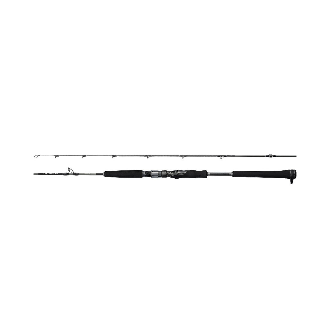 SHIMANO 25 OCEA EJ B60-4 (2 pieces, Casting)