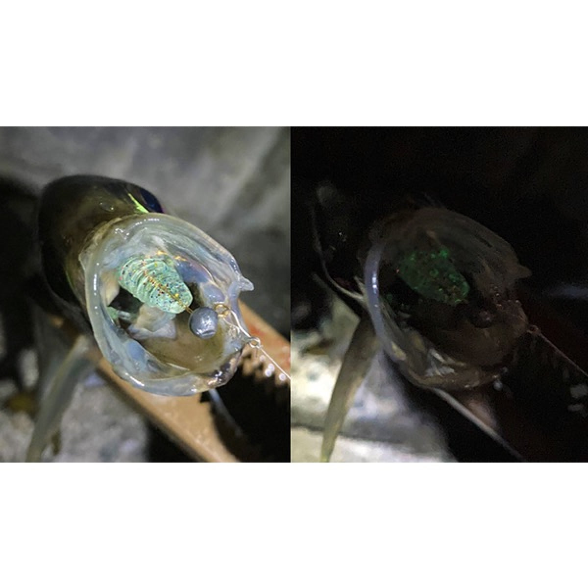 Tict BEE CARBOO 2.2" (8 pcs/pack) C-31 AMI HOLO NEON