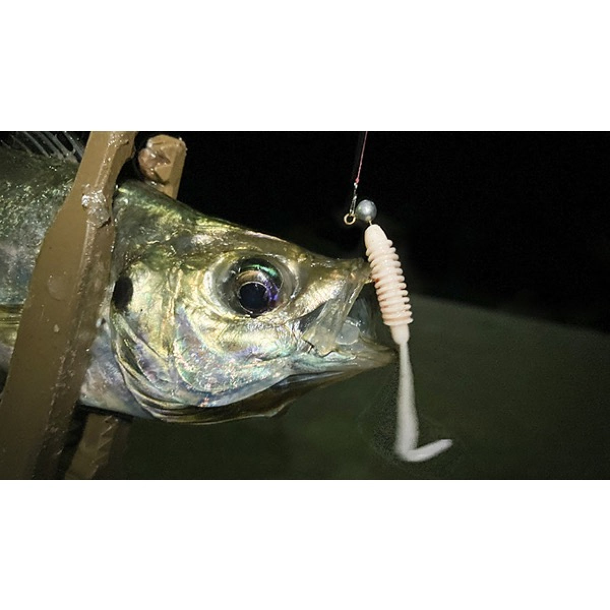 Tict BEE CARBOO 2.2" (8 pcs/pack) C-37 DREAM TEAM