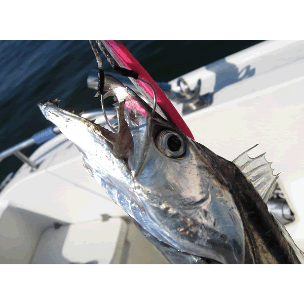 DECOY TWIN PIKE #2 DJ-88 (3 pcs/pack) TIN - Britannic Trade