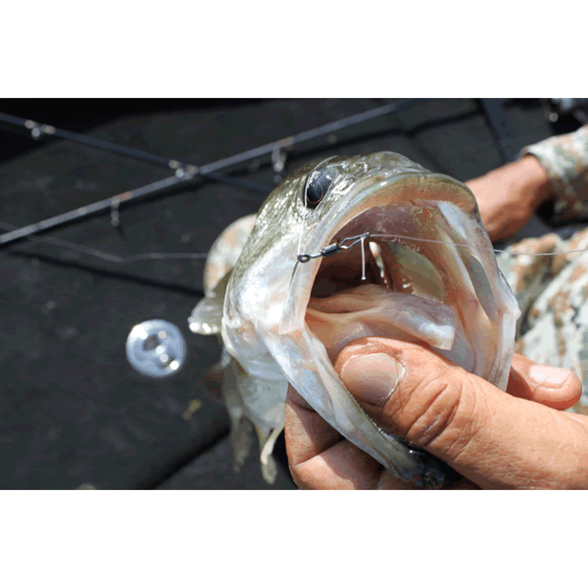 DECOY HD HOOK OFFSET #3/0 Worm117 (4 pcs/pack) NS BLACK - Britannic Trade