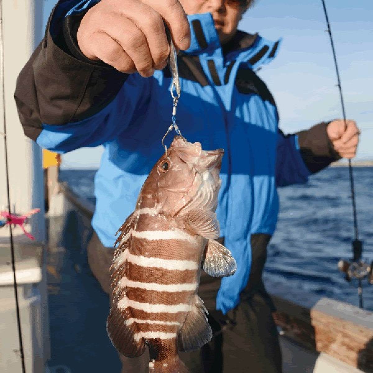 DECOY FALX #1/0 AS-06 (9 pcs/pack) TIN - Britannic Trade