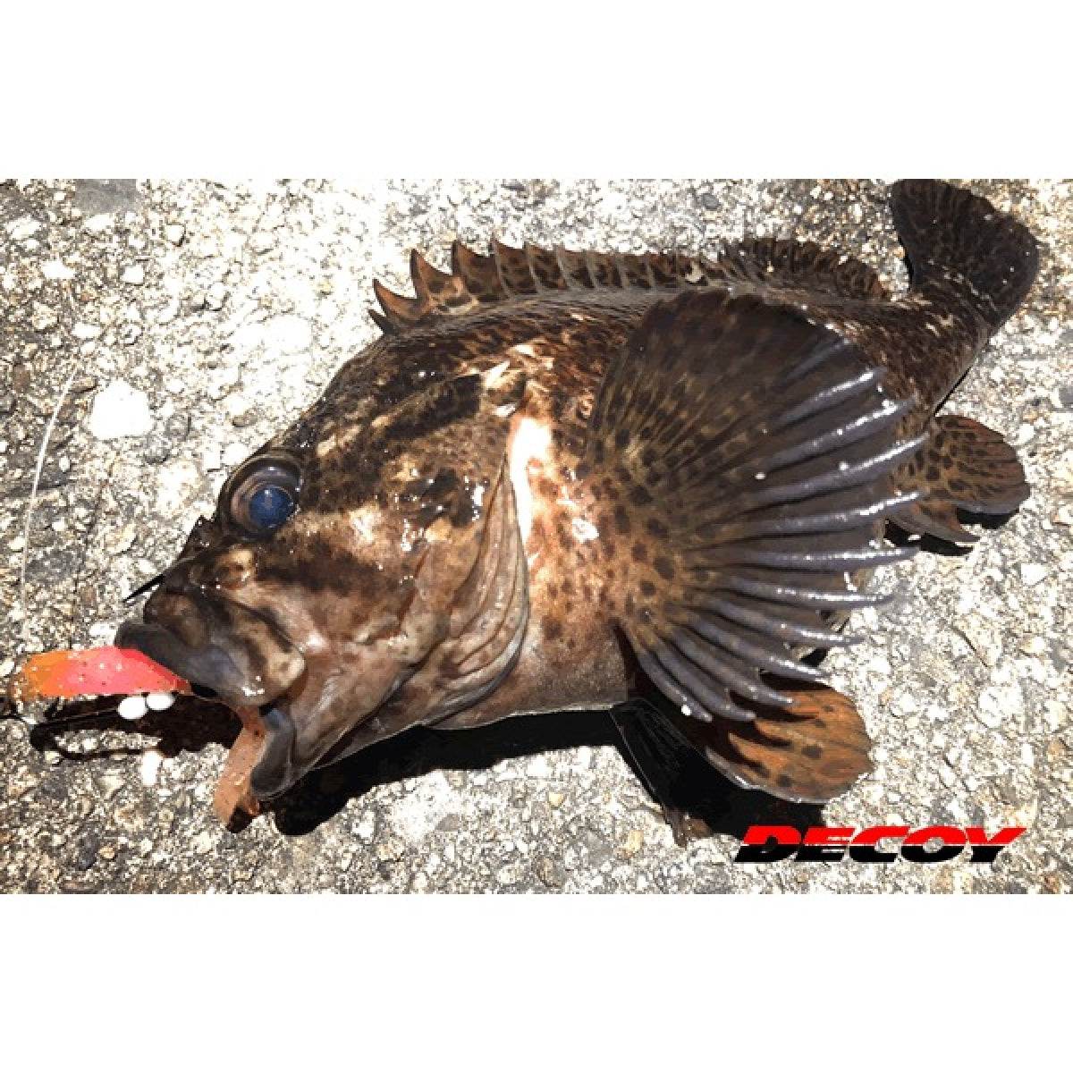 DECOY MAKISASU HOOK #2/0 Worm30 (4 pcs/pack) NS BLACK - Britannic Trade