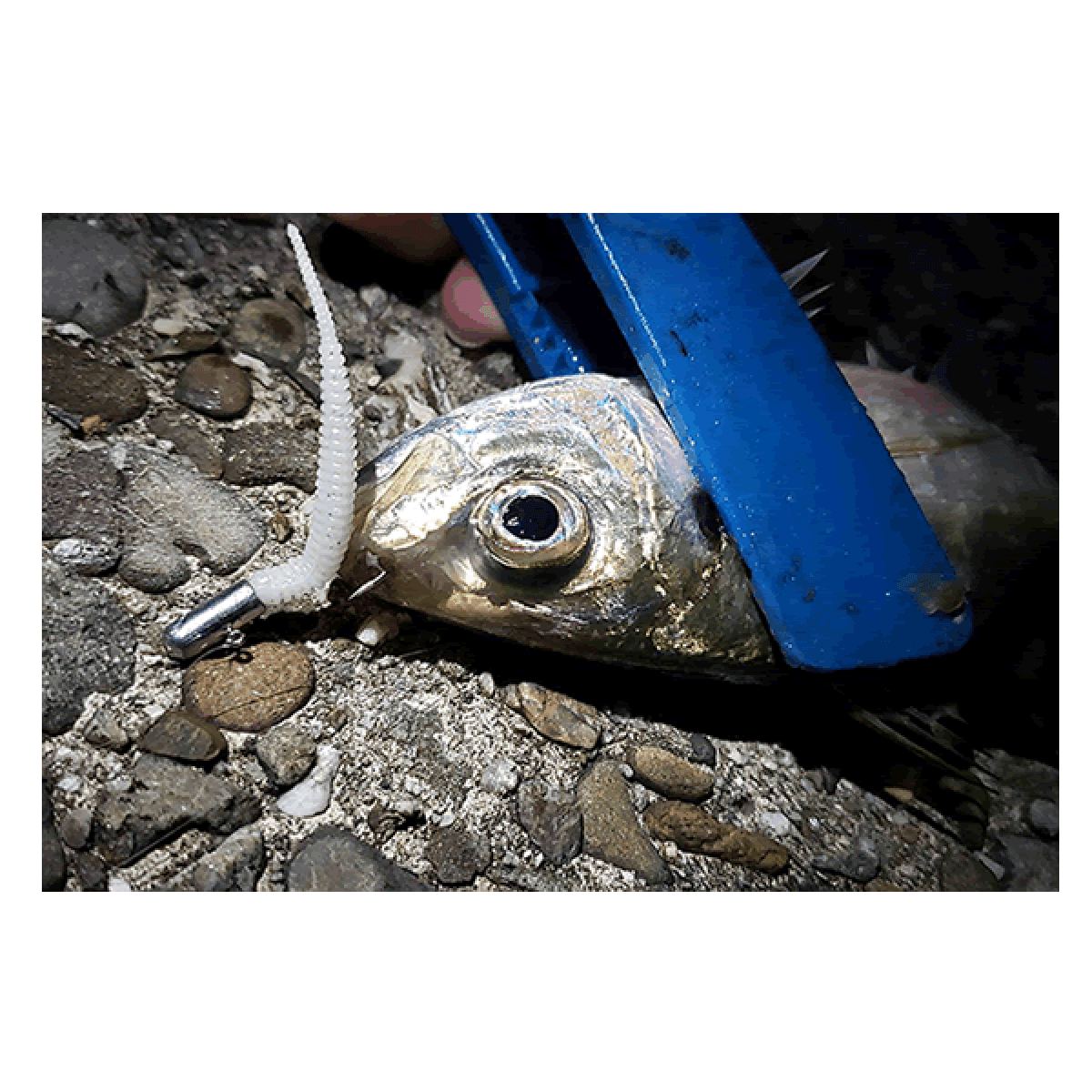 DECOY ROCKET MAGIC #8 - 0.3g SV-70 (5 pcs/pack) W NICKEL - Britannic Trade