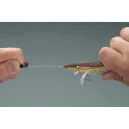 DAIICHISEIKO 2.0g