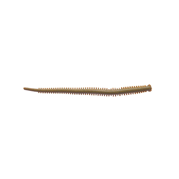 Berkley GULP! SALTWATER ISOME HOSOMI 4" (12 pcs/pack) GOKAI(MOTOR OIL RED) saltwater fishing lure