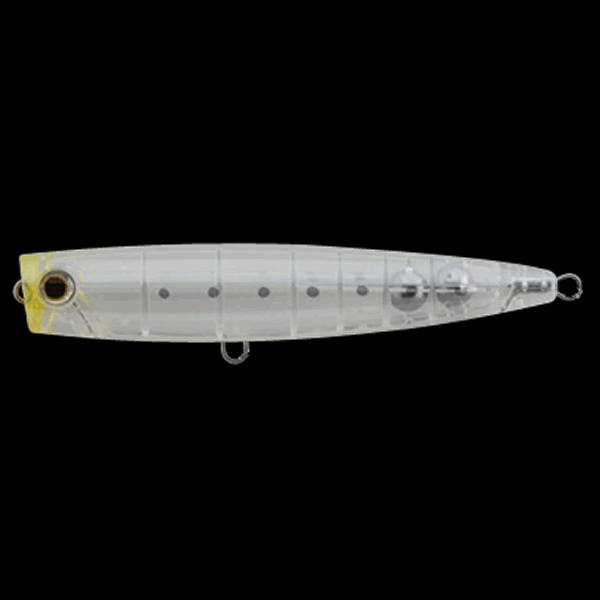 Maria POP QUEEN F160 160mm : 65g FLOATING 007 NAMASHIRASU saltwater fishing lure