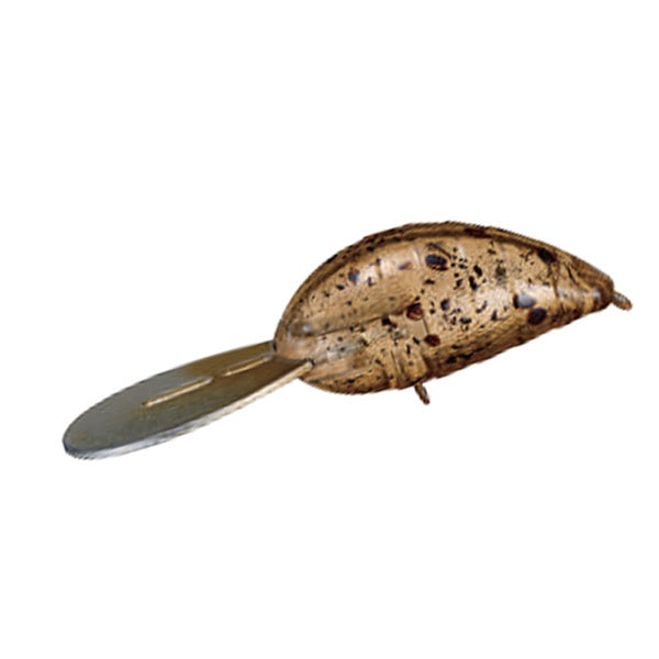 Jackson Batabata Magic Length: 30mm Floating TBTB Tsubutsubu