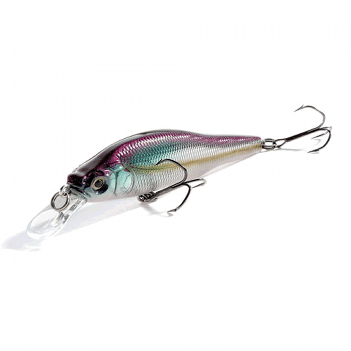 Megabass X-80 TRICK DARTER 80.5mm : 3/8oz Suspend M BLUE BACK OIKAWA - Britannic Trade