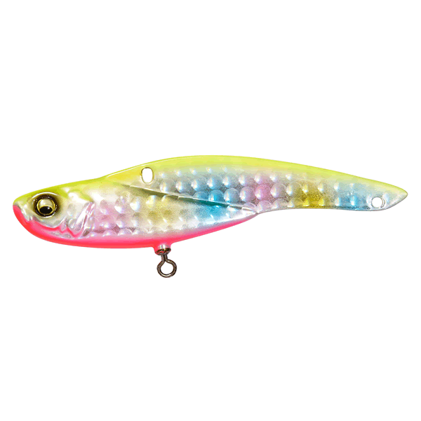 Megabass ONIMARU 20g #8 : 20g Sinking G CHART BACK RAINBOW PB