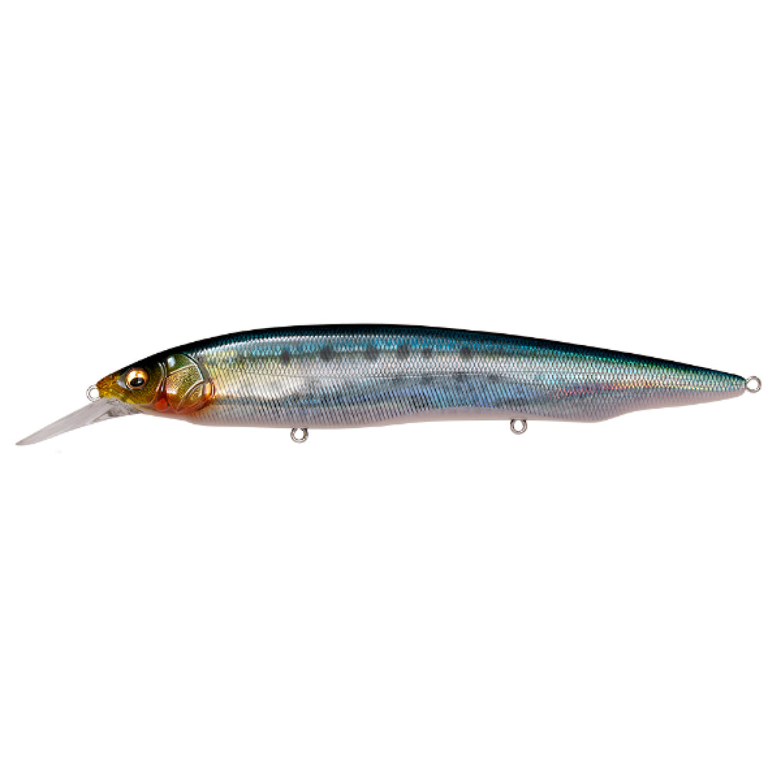Megabass KARASHI SW FS 59mm : 9g Fast Sinking FA IWASHI saltwater fishing lure